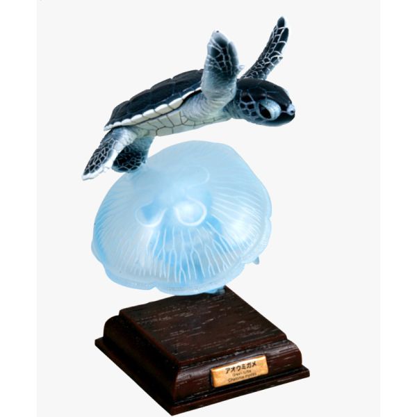 2A813『現貨』NTC圖鑑-日本烏龜 特裝版 IKIMON 扭蛋 轉蛋 