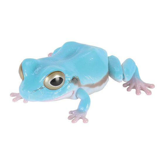 3A188『現貨』生物大圖鑑-日本雨蛙 BANDAI 扭蛋 轉蛋 