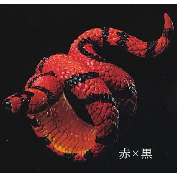 2A111『現貨』蛇輪 Standstones 扭蛋 轉蛋 