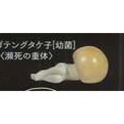 5A440『現貨』中毒蘑菇    Shine-G   扭蛋   轉蛋 