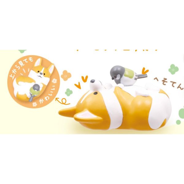 6A397『現貨』柯基滿滿公仔 柯基與四十雀  Qualia  扭蛋   轉蛋 