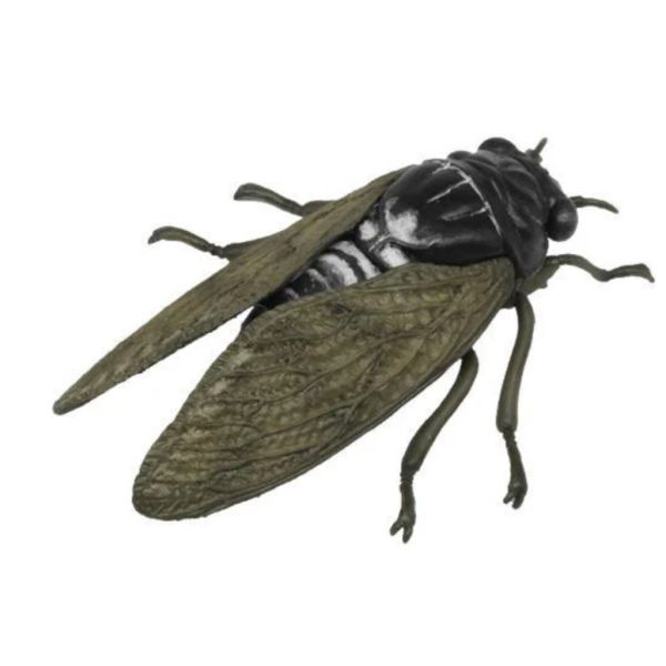 2A623『現貨』可動生物模型-昆蟲之森 怪音波之謎 T-ARTS 扭蛋 轉蛋 