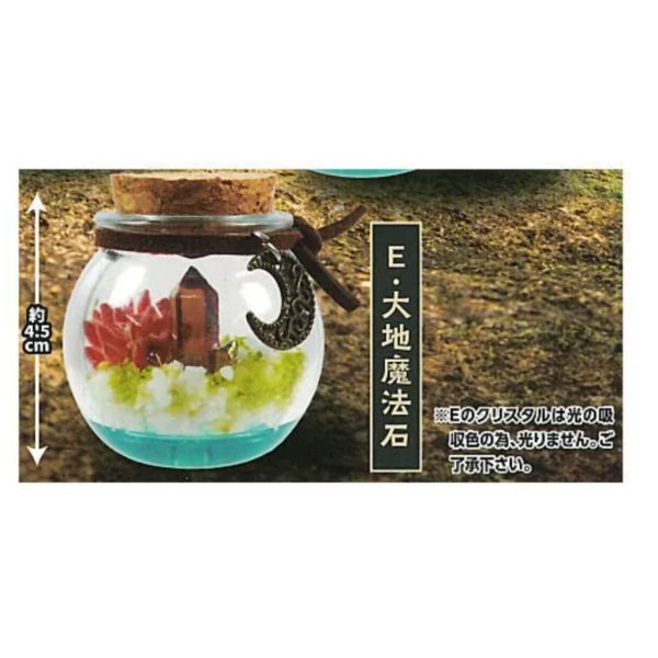 2A618『現貨』海洋瓶中場景與魔法石 ToysSpirits 扭蛋 轉蛋 