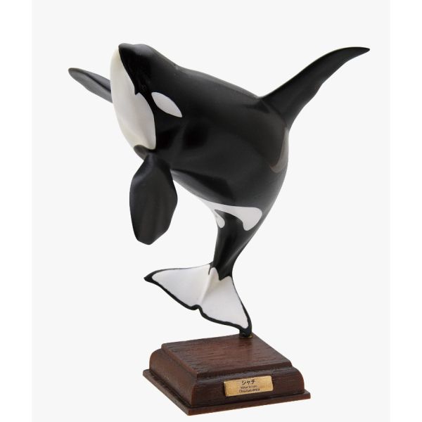 1A266『現貨』NTC圖鑑-南極大陸生命紀行 特別篇 IKIMON 扭蛋 轉蛋 