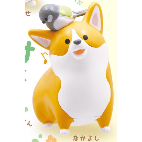 6A397『現貨』柯基滿滿公仔 柯基與四十雀  Qualia  扭蛋   轉蛋 