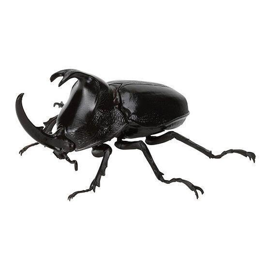 5A005『現貨』生物大圖鑑-獨角仙09  BANDAI 扭蛋   轉蛋 