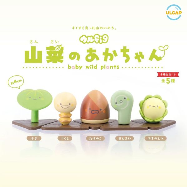 2A736『現貨』山菜寶寶 ULTRA NEW PLANNING 扭蛋 轉蛋 