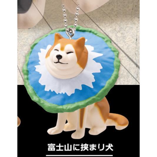 5A828『現貨』卡頭柴犬珠鍊吊飾P3NEW  Qualia  扭蛋   轉蛋 