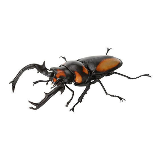 2A983『現貨』生物大圖鑑-鍬形蟲篇08 BANDAI 扭蛋 轉蛋 