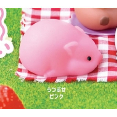 1A960『現貨』捏捏軟軟迷你豬 YELL 扭蛋 轉蛋 