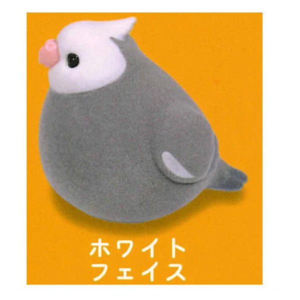 1A918『現貨』mochi mochi 鳥兒植絨軟膠公仔P3 J.DREAM 扭蛋 轉蛋 