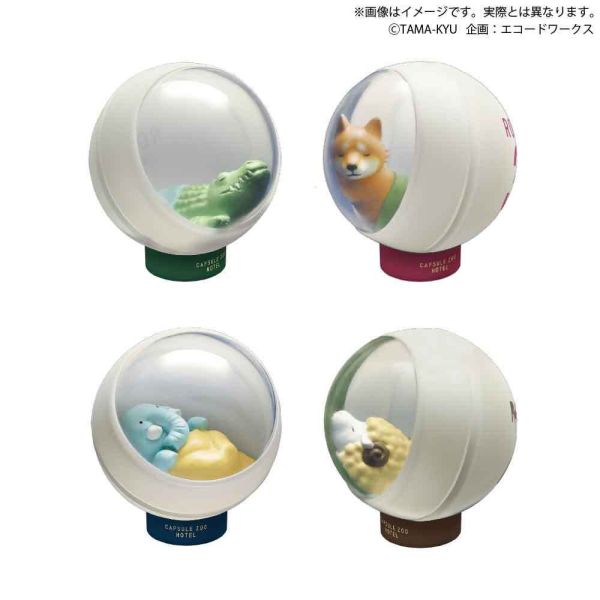 2A657『現貨』扭蛋動物園旅館 BUSHIROAD 扭蛋 轉蛋 