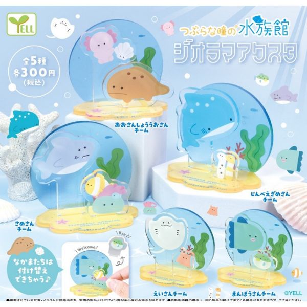 1A910『現貨』圓眼水族館情景壓克力立牌 YELL 扭蛋 轉蛋 