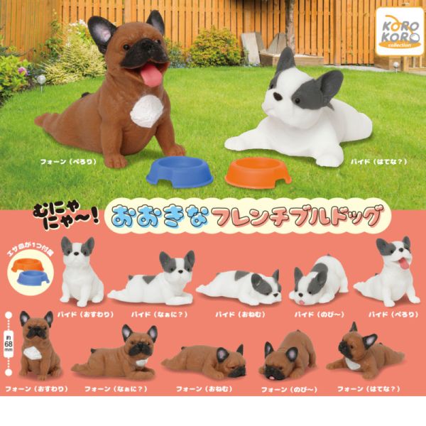 4A198『現貨』捏捏巨大法國鬥牛犬 KOROKORO 扭蛋 轉蛋 