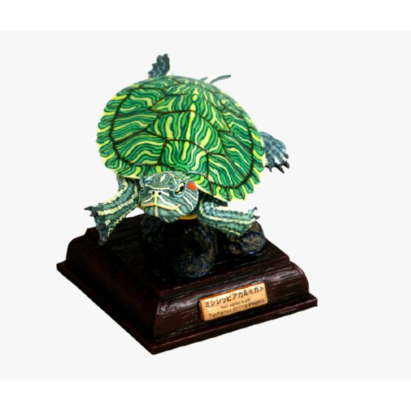 2A813『現貨』NTC圖鑑-日本烏龜 特裝版 IKIMON 扭蛋 轉蛋 