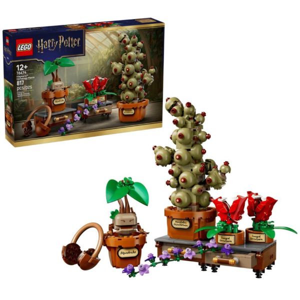『現貨』  LEGO 76474	哈利波特-霍格華茲™ 藥草學植物    盒組 