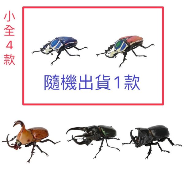 2A606『現貨』生物大圖鑑-獨角仙06 BANDAI 扭蛋 轉蛋 