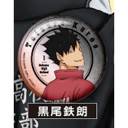 3A834『現貨』排球少年閃亮回頭徽章 T-ARTS 扭蛋 轉蛋 