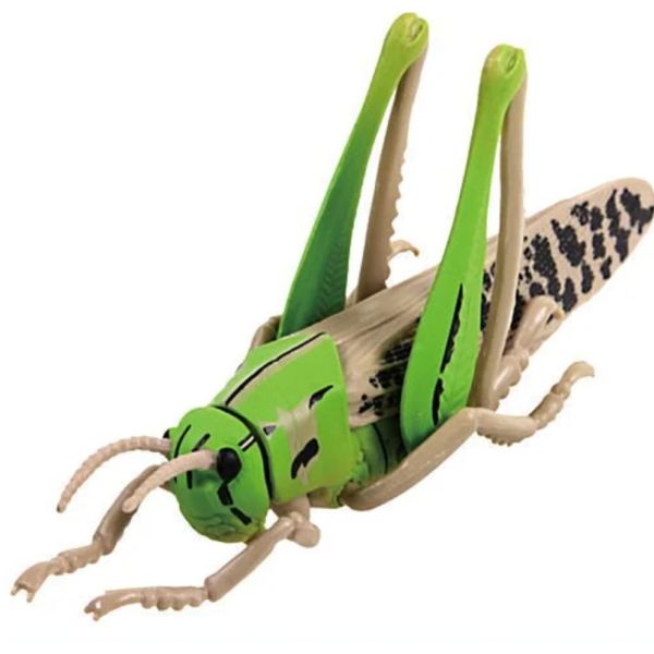 2A623『現貨』可動生物模型-昆蟲之森 怪音波之謎 T-ARTS 扭蛋 轉蛋 