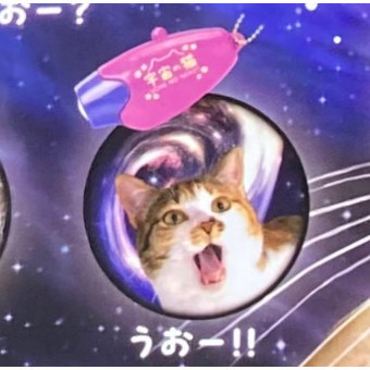 2A726『現貨』宇宙貓投影燈 YELL 扭蛋 轉蛋 