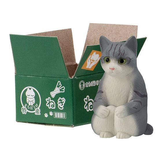 1A804『現貨』等待中貓咪公仔P4 BANDAI 扭蛋 轉蛋 