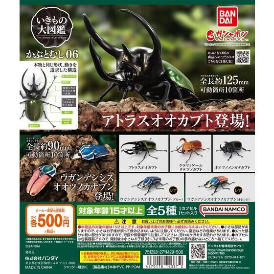 2A606『現貨』生物大圖鑑-獨角仙06 BANDAI 扭蛋 轉蛋 