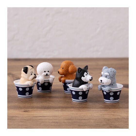 5A992『現貨』飯糰劇場動物公仔 BANDAI  扭蛋   轉蛋 