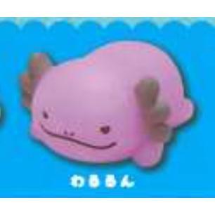 5A341『現貨』捏捏蓄光蠑螈公仔  AMUSE 扭蛋   轉蛋 