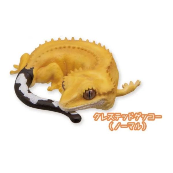 2A782『現貨』肥尾守宮與睫角守宮晚安公仔 Qualia 扭蛋 轉蛋 