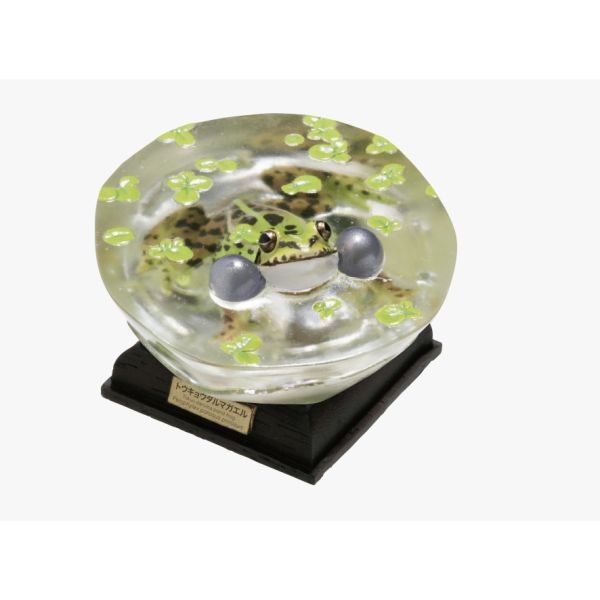 2A807『現貨』NTC圖鑑-日本蛙 特裝版 IKIMON 扭蛋 轉蛋 