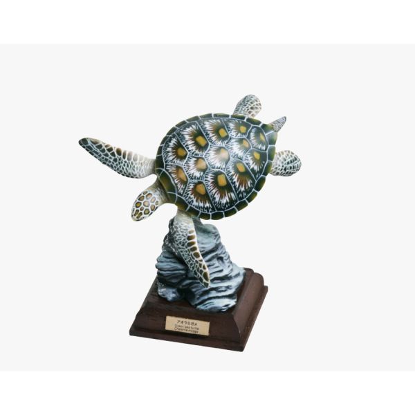 2A401『現貨』NTC圖鑑-海洋第一彈 特裝版 IKIMON 扭蛋 轉蛋 