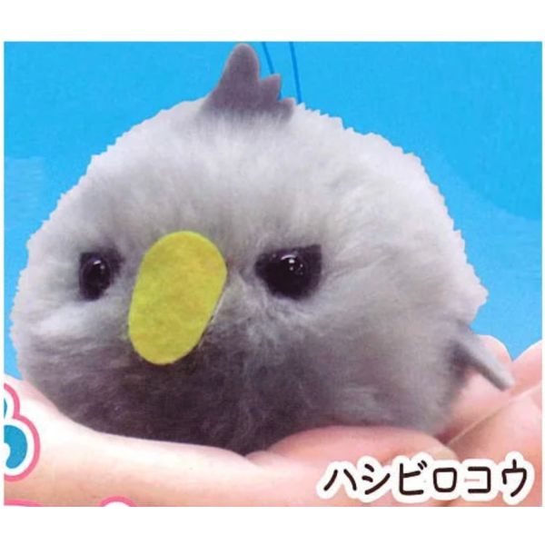 2A245『現貨』毛呼呼幼鳥玩偶P2 AMUSE 扭蛋 轉蛋 