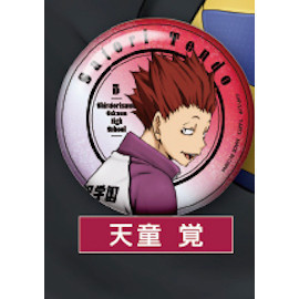 3A834『現貨』排球少年閃亮回頭徽章 T-ARTS 扭蛋 轉蛋 