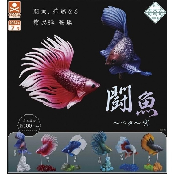 3A005『現貨』鬥魚~Betta~貳 Standstones 扭蛋 轉蛋 