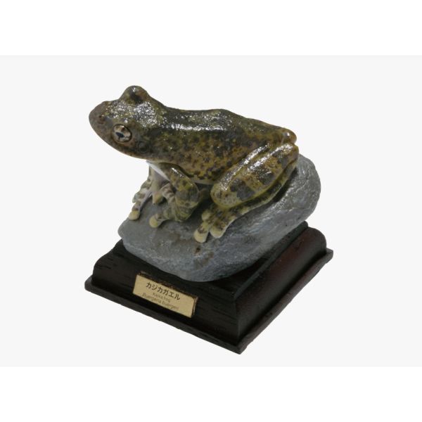 2A807『現貨』NTC圖鑑-日本蛙 特裝版 IKIMON 扭蛋 轉蛋 