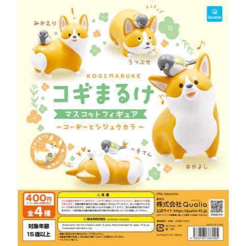 6A397『現貨』柯基滿滿公仔 柯基與四十雀  Qualia  扭蛋   轉蛋 