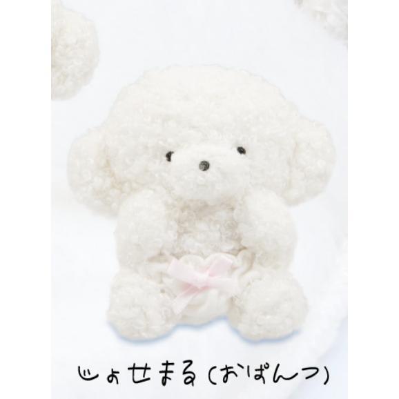 5A090『現貨』josemaru絨毛吊飾  Qualia  扭蛋   轉蛋 