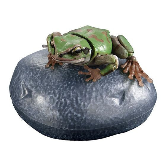 2A594『現貨』生物大圖鑑進擊-日本雨蛙P2 Bandai 扭蛋 轉蛋 