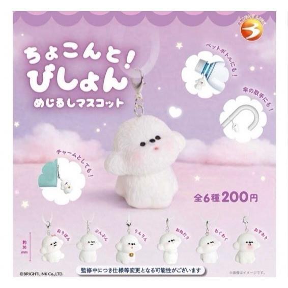 『預購』8月  小巧可愛比熊犬造型吊飾   Bright link  扭蛋   轉蛋 