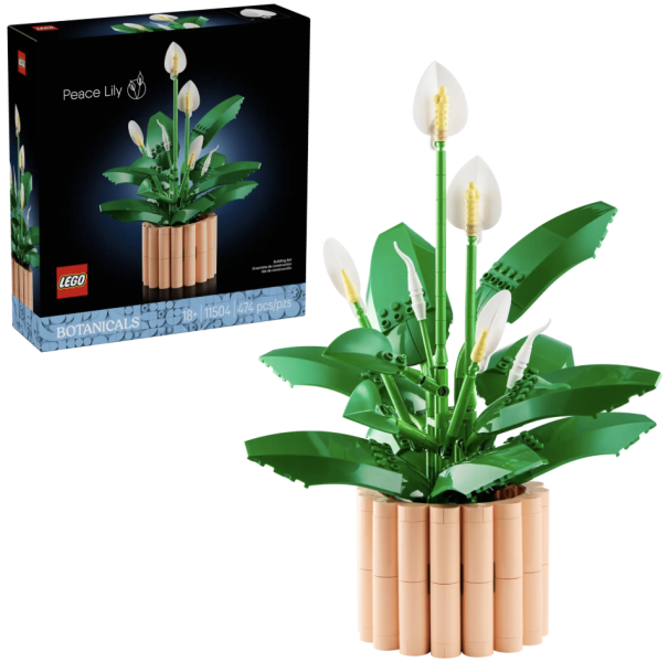 『現貨』LEGO 11504 Botanicals 白鶴芋 盒組 