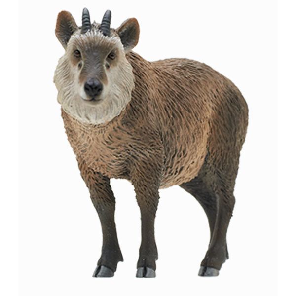 4A520『現貨』NOJ-日本的生物P3 IKIMON 扭蛋 轉蛋 