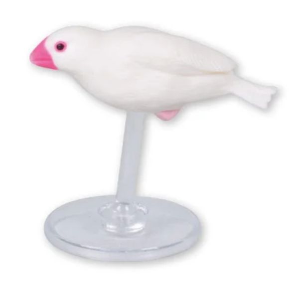 2A167『現貨』文鳥的日常生活P4 Tarlin 扭蛋 轉蛋 