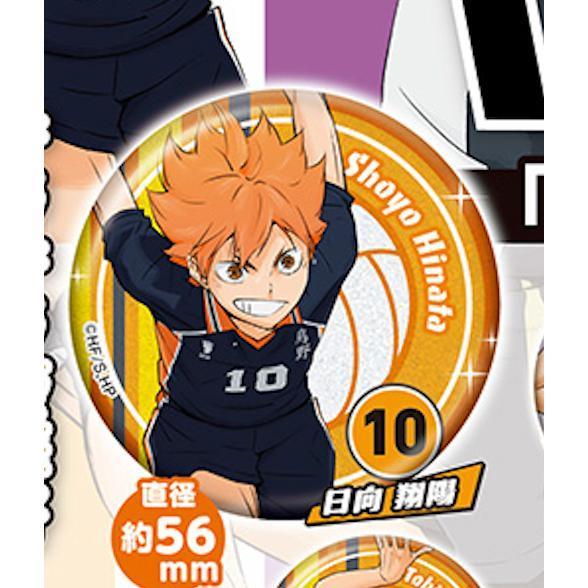 5A287『現貨』排球少年角色閃亮徽章-sideA  Standstones  扭蛋   轉蛋 