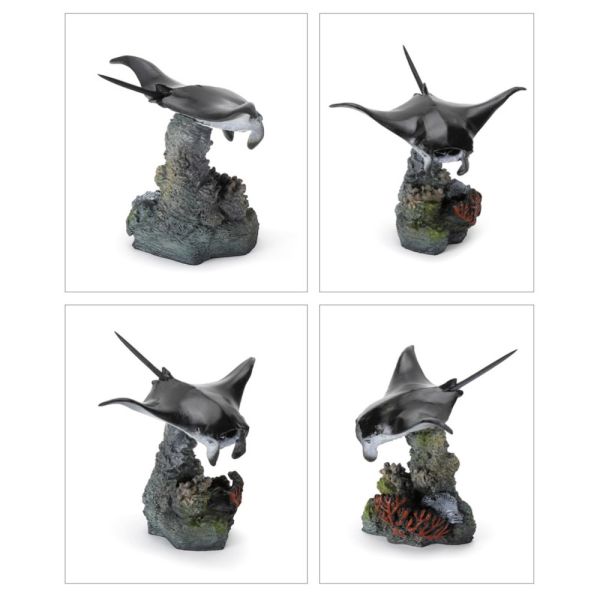 4A745『現貨』生物大圖鑑-珊瑚礁生物 BANDAI 扭蛋 轉蛋 