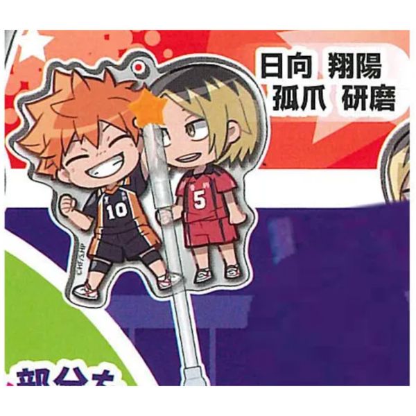 3A457『現貨』DECORA-PIC排球少年裝飾壓克力P2 Standstones 扭蛋 轉蛋 