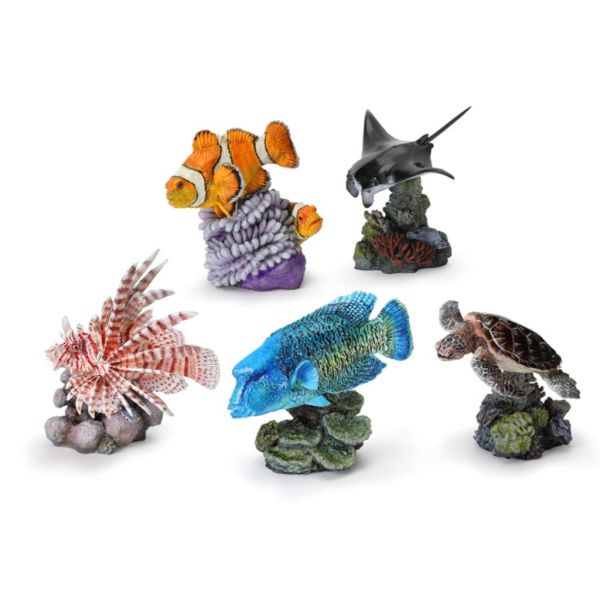 4A745『現貨』生物大圖鑑-珊瑚礁生物 BANDAI 扭蛋 轉蛋 