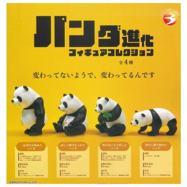 4A848『現貨』熊貓進化公仔 Bright link 扭蛋 轉蛋 