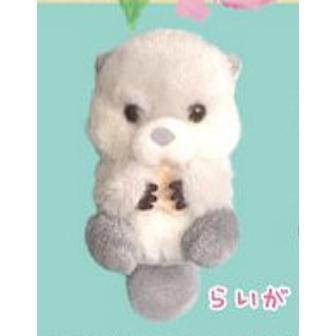 5A722『現貨』開心小海獺玩偶吊飾  AMUSE 扭蛋   轉蛋 