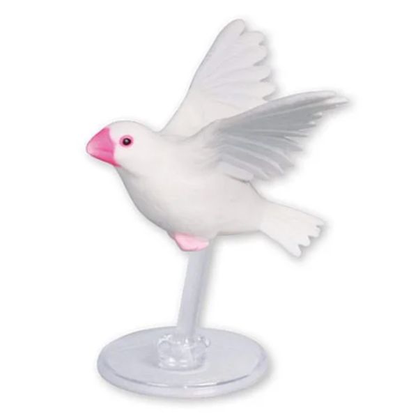 2A167『現貨』文鳥的日常生活P4 Tarlin 扭蛋 轉蛋 