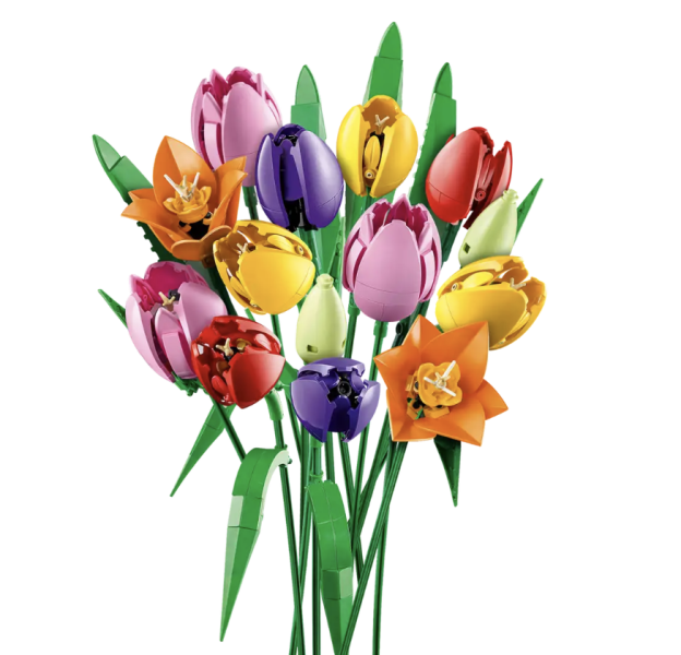 『現貨』LEGO 11501 Botanicals 鬱金香花束 盒組 